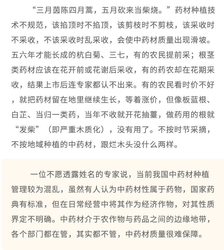 “三月茵陳四月蒿，五月砍來當(dāng)柴燒?！彼幉姆N植技術(shù)不規(guī)范，該掐頂時(shí)不掐頂，該剪枝時(shí)不剪枝，該采收時(shí)不采收，不該采收時(shí)亂采收，會(huì)使中藥材質(zhì)量出現(xiàn)滑坡。五六年才能長(zhǎng)成的杭白菊、三七，有的農(nóng)民提前采;根莖類藥材應(yīng)該在花開前或花謝后采收，有的藥農(nóng)卻在花期采收，結(jié)果上市后連專家都認(rèn)不出來。有的農(nóng)民看時(shí)價(jià)不好，就把藥材留在地里繼續(xù)生長(zhǎng)，等著漲價(jià)，但像板藍(lán)根、白芷、當(dāng)歸一類藥，當(dāng)年不收就開花抽墓，做藥用的根就“發(fā)柴”(即嚴(yán)重木質(zhì)化) ，沒有用了。不按時(shí)節(jié)采摘，不按地域種植的中藥材，跟爛木頭沒什么兩樣。一位不愿透露姓名的專家說，當(dāng)前我國(guó)中藥材種植管理較為混亂，雖然有人認(rèn)為中藥材性屬于藥物，國(guó)家藥典有標(biāo)準(zhǔn)，但在日常經(jīng)營(yíng)中將其作為經(jīng)濟(jì)作物，對(duì)其性質(zhì)界定不明確。中藥材介于農(nóng)作物與藥品之間的邊緣地帶，各個(gè)部門都在管，其實(shí)都不管，中藥材質(zhì)量很難保障。